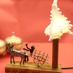 Sea Shell Lamps