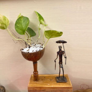 Coconut Shell Table Top Planter with Tribal Figurine