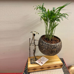 Coconut Shell Tabletop Planter