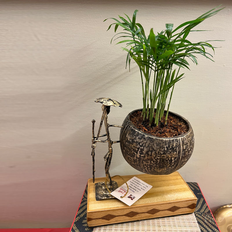 Coconut Shell Tabletop Planter