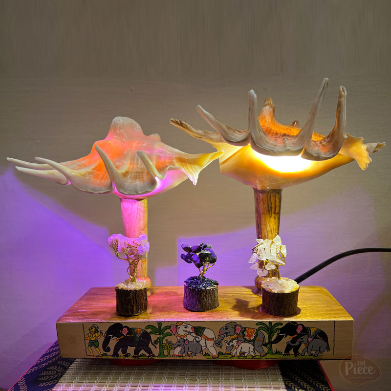 Double Sea Shell Table Lamp