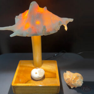Handcrafted Sea Shell Table Lamp with Decorative Base