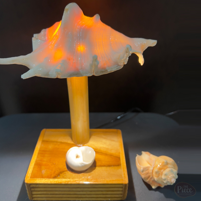 Handcrafted Sea Shell Table Lamp with Decorative Base