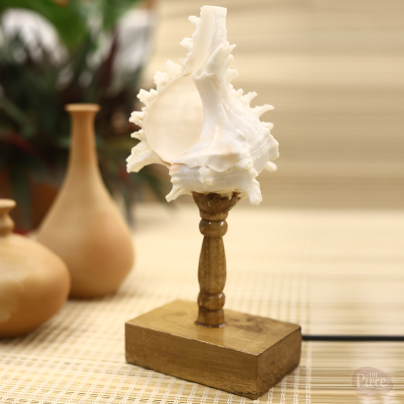 HANDCRAFTED CLASSIC SEA SHELL TABLE LAMP - Image 2