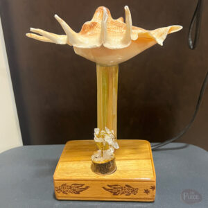 Premium sea shell table lamp with crystal accent base