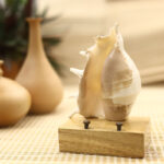 Natural Sea Shell Mobile Stand with Wooden Base